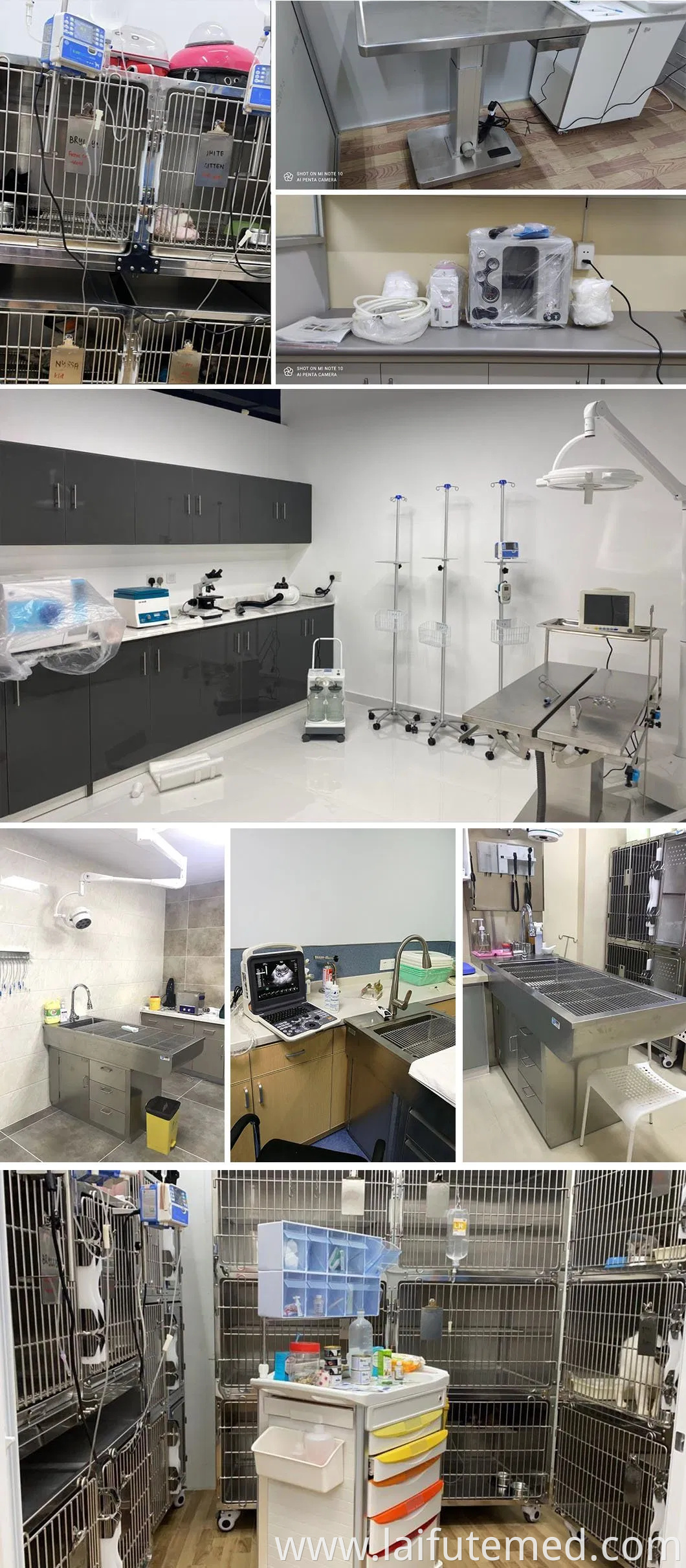 High Quality Veterinary Medical Stainless Steel Animal Cage Veterinary Oxygen Cage Veterinary Cages for Dog Cat Vet Clinic